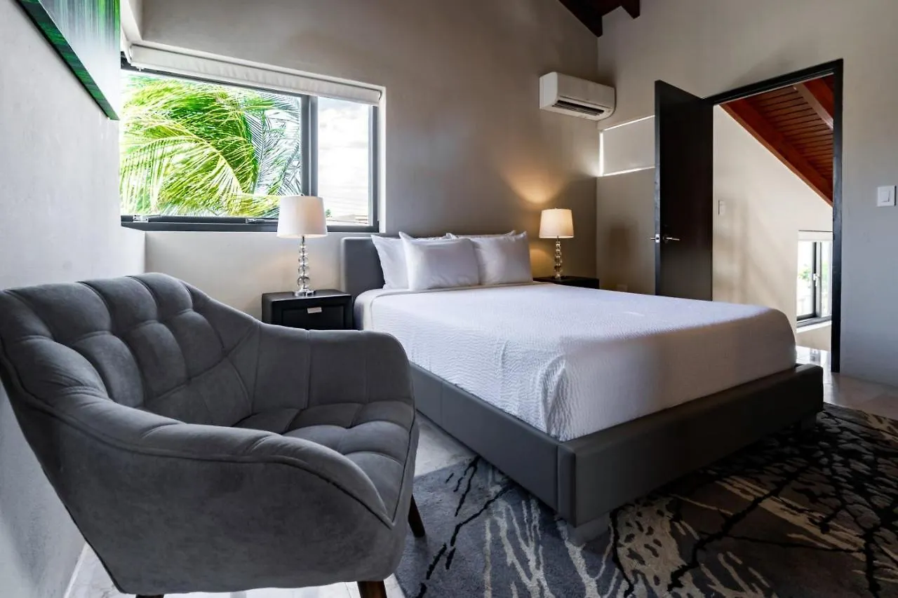 Bird Of Paradise Villa Palm Beach Aruba