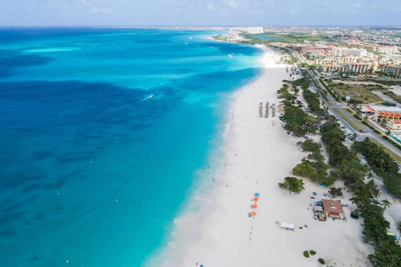 Bird Of Paradise Villa Palm Beach Aruba